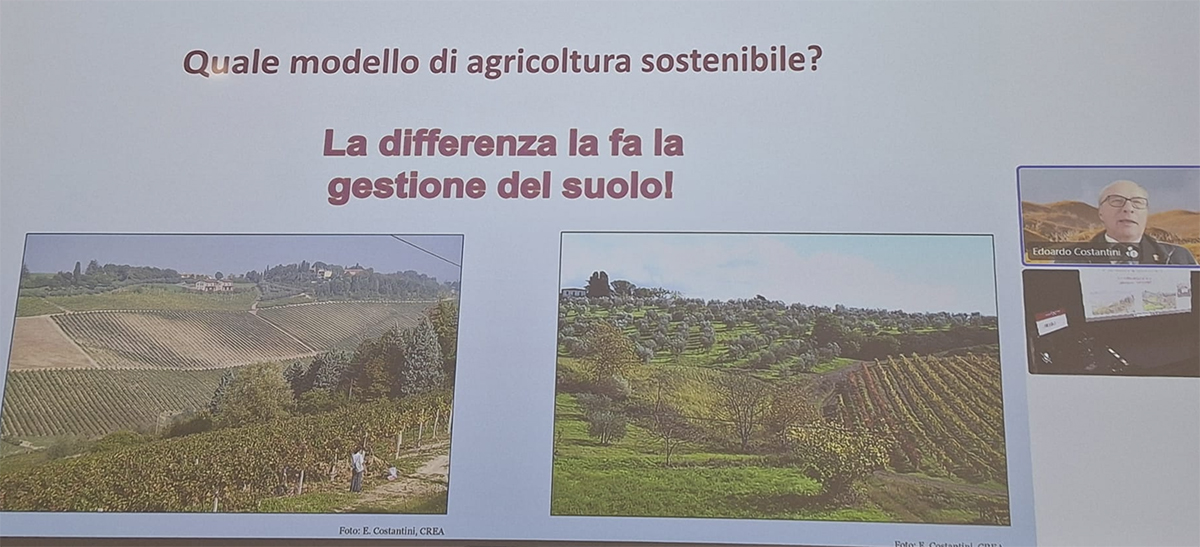 Slide del Prof. Edoardo Costantini, Past President dell’International Union of Soil Sciences